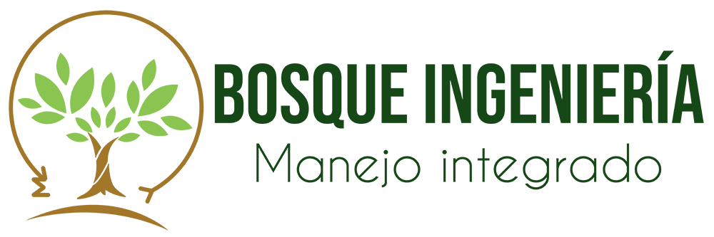 logoweb